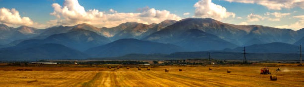 Cremona Community Engagement Site